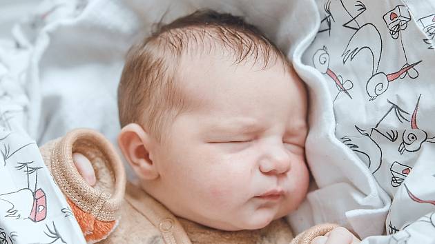 Kristýna Peroutková se narodila v nymburské porodnici 27. prosince 2022 v 8:42 hodin s váhou 3630 g a mírou 49 cm. Do Peček holčička odjela s maminkou Dominikou, tatínkem Janem a sestřičkou Viktorii (1,5 roku).