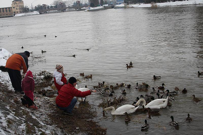 Zimní radovánky lze na Nymbursku trávit různě