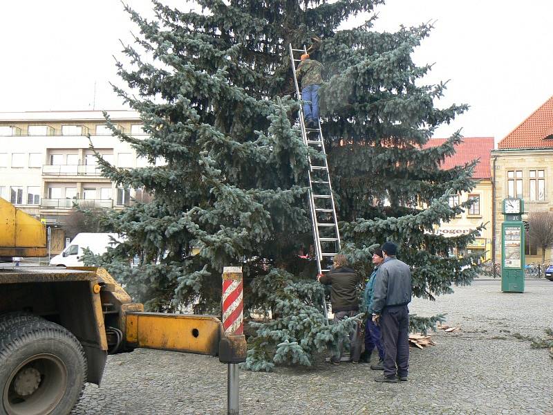 Vánoční strom už je v Nymburce