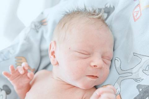 Karel Dvořák se narodil v nymburské porodnici 9. srpna 2022 v 16:00 hodin s váhou 3420 g a mírou 49 cm. Maminka Veronika a tatínek Jan se na prvorozeného chlapečka těšili v Cerhenicích.