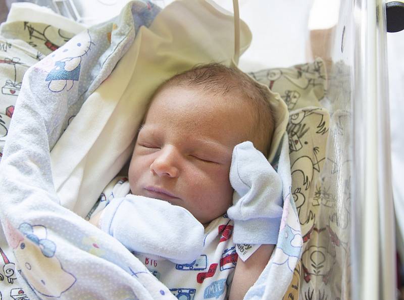 Ondřej Pavelka z Břežan II se narodil v nymburské porodnici 21. srpna 2021 v 0.12 hodin s váhou 3790 g a mírou 50 cm. Chlapečka očekávala maminka Veronika, tatínek Vojtěch a bráška Tomáš (2,5 roku).