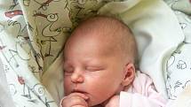 Anna Měchurová se narodila v nymburské porodnici 3. listopadu 2021 ve 13:15 hodin s váhou 2710 g a mírou 44 cm. Do Hořan si holčičku odvezli maminka Kateřina, tatínek Patrik a bráškové Matěj (4 roky) a Vojtěch (2,5 roky).