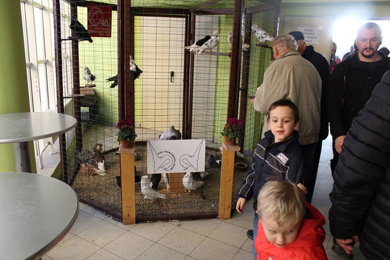 Výstava Náš chovatel nabízí každoročně přehlídku nejzajímavějších chovaných zvířat nejen z celého kraje.