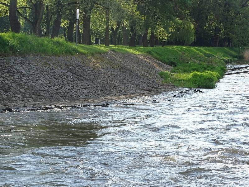 Hladina Labe v Poděbradech po deštích mírně stoupla.