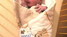 TADEÁŠEK Průša se mamince Kateřině narodil v sobotu 18. listopadu 2017 ve 14.54 hodin v mladoboleslavské porodnici.