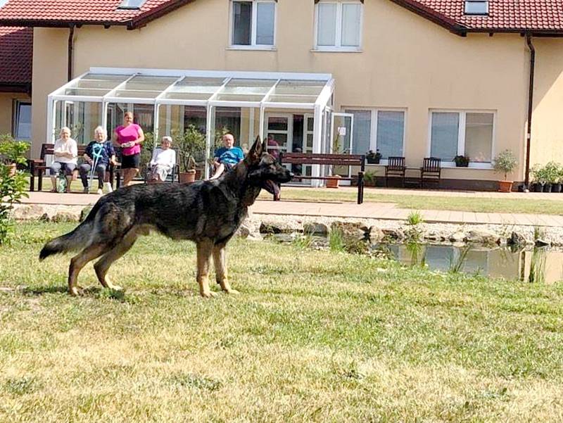 Ukázka policejního psovoda zaujala v Senior parku v Sokolči.