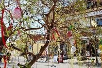 První ozdoby už na Velikonoční vrbě stojící na Jiřího náměstí visí.