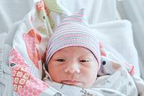 Andrei Andreev se narodil v nymburské porodnici 13. prosince 2022 v 9:35 hodin s váhou 3380 g a mírou 50 cm. Prvorozeného chlapečka v Lysé nad Labem očekávala maminka Yuliia a tatínek Cvetan.