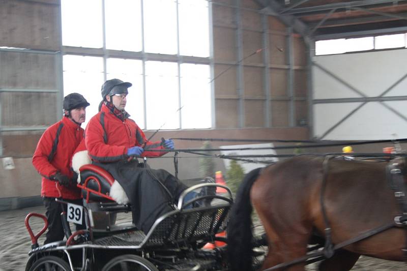 První závod Zimního jezdeckého poháru se odehrál v Hradištku.