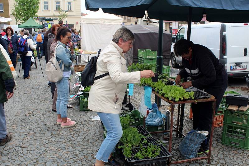 Farmářské trhy na náměstí Přemyslovců v Nymburce.