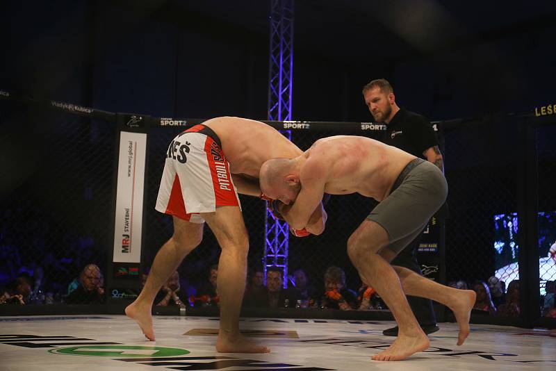 Galevečer MMA GCF 61 Cage Fight Nymburk se ve Sportovním centru konal v neděli 26. ledna.