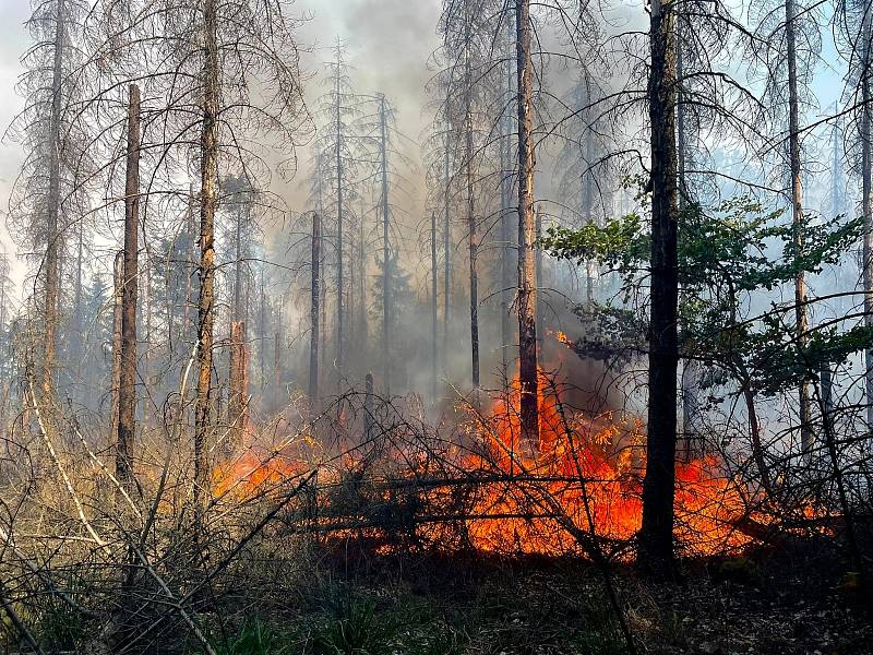 Měsíc pomáhali při zásahu v Českém Švýcarsku i hasiči z Nymburska