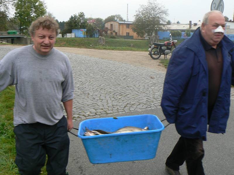 Na Labi mezi Poděbrady a Nymburkem došlo k úhynu ryb