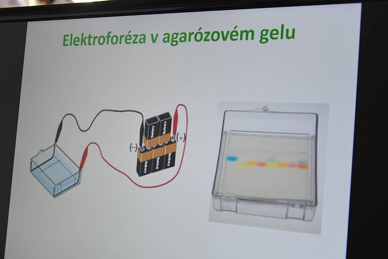 Kemp biologie na Pedagogické fakultě Univerzity Palackého v Olomouci