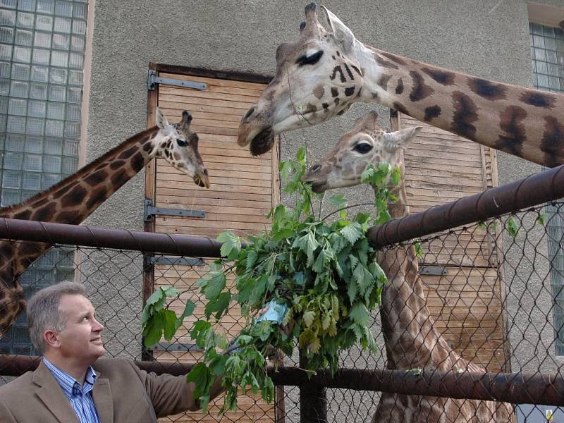 Žirafák Paul se svým kmotrem hejtmanem Ivanem Kosatíkem