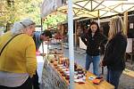 Festival plný netradičních pokrmů Extreme food festival v areálu Letního kina v Olomouci.