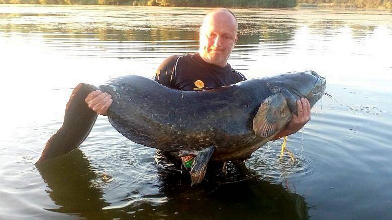 Rybář Petr Pavlas z Olomouce - Chomoutova ulovil sumce velkého měřícího 220 centimetrů. 
