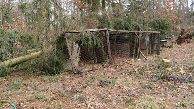 Odstraňování následků vichru v olomoucké zoo - 27.3.2019