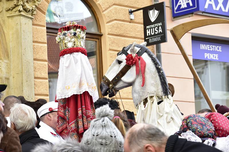 Masopustní veselí v Olomouci, 15. 2. 2020