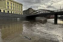 Olomoucká náplavka 25. prosince v 9 hodin ráno. Podle hydrologického modelu by řeka Morava v Olomouci měla k večeru dosáhnout II. stupně povodňové aktivity.