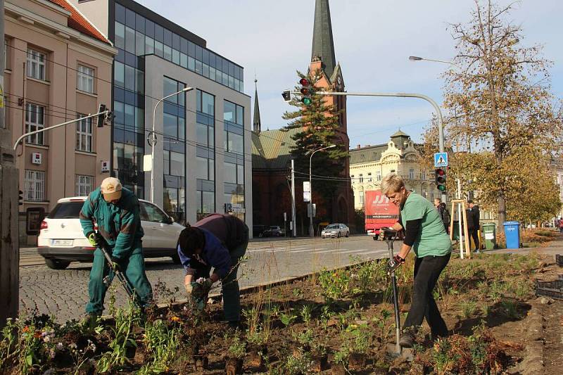 Zahradníci z výstaviště Flora vysazují na třídě Svobody v Olomouci trvalky a jarní cibuloviny