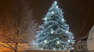 Vánoční strom v Troubelicích.