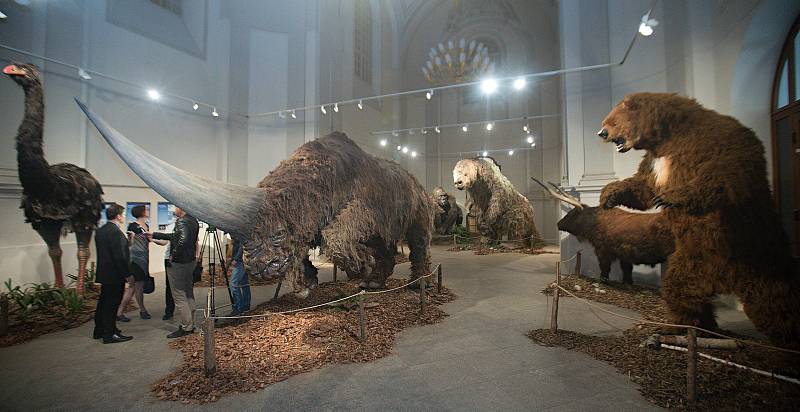 Výstava Giganti doby ledové 2 ve Vlastivědném muzeu v Olomouci v roce 2019
