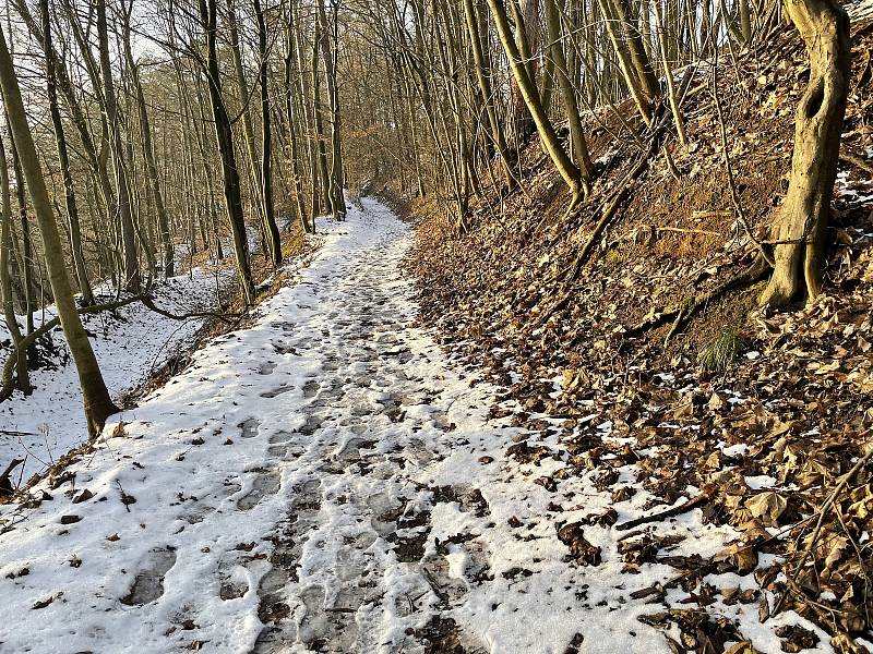 Sáňkařská dráha Gustava Frištenského, 22. ledna 2021