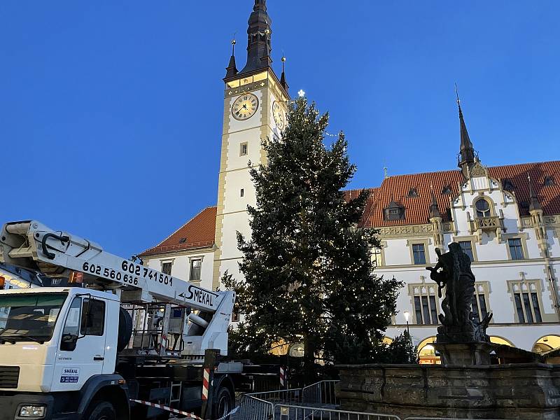 Ozdobená olomoucká vánoční jedle na Horním náměstí. 10. listopadu 2021