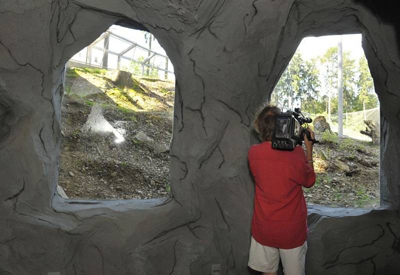 Nový výběh pro levharty mandžuské v olomoucké zoo