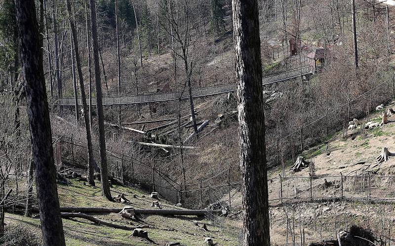 Zoologická zahrada na Svatém Kopečku u Olomouce poškozená vichřicemi. Konec března 2019