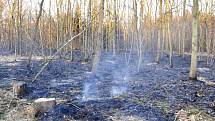 Požár lesa v Grygově
