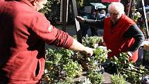 Podzimní Flora na olomouckém výstavišti