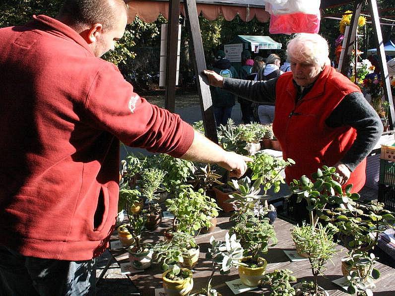 Podzimní Flora na olomouckém výstavišti