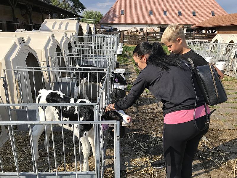 Turistickým lákadlem je farma Doubravský dvůr v Července. 23. července 2020