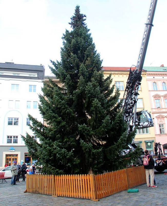 Usazení vánočního stromu na Horním náměstí v Olomouci