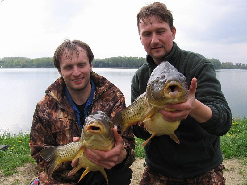 Kapři z Tovačova (Donbas)