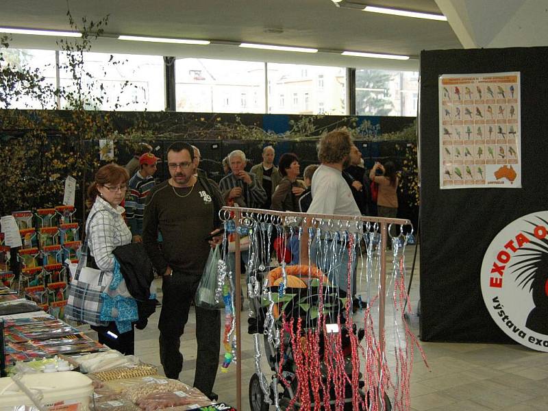 O víkendu patří výstaviště Flora ptačímu zpěvu. Koná se tu totiž výstava s názvem Exota Olomouc, a to v pavilonech A, E, G  a Palmovém skleníku.