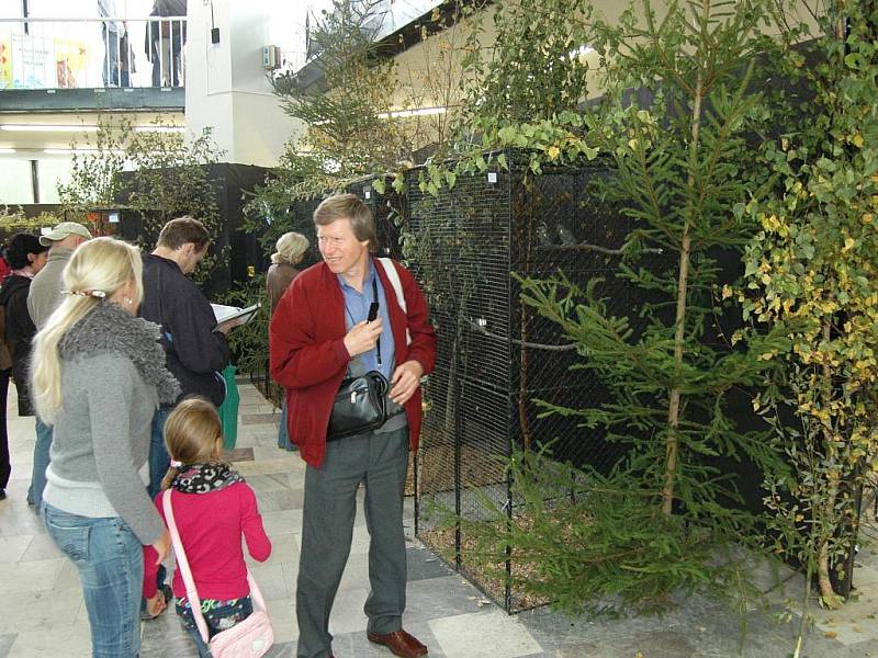 O víkendu patří výstaviště Flora ptačímu zpěvu. Koná se tu totiž výstava s názvem Exota Olomouc, a to v pavilonech A, E, G  a Palmovém skleníku.