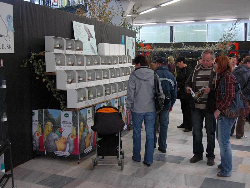 O víkendu patří výstaviště Flora ptačímu zpěvu. Koná se tu totiž výstava s názvem Exota Olomouc, a to v pavilonech A, E, G  a Palmovém skleníku.