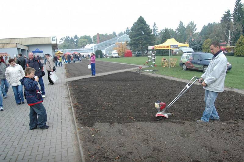 Podzimní Flora Olomouc.