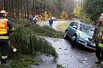 U Mutkova došlo k pádu stromu na auto