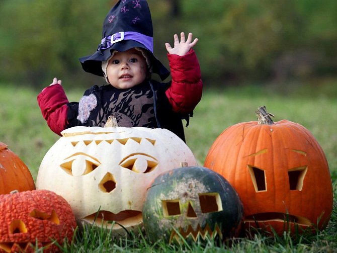 Zahrady a okna domů i veřejná prostranství zdobí na konci října halloweenské dekorace. Obvykle vyřezávané dýně nebo různá strašidla. Ilustrační foto