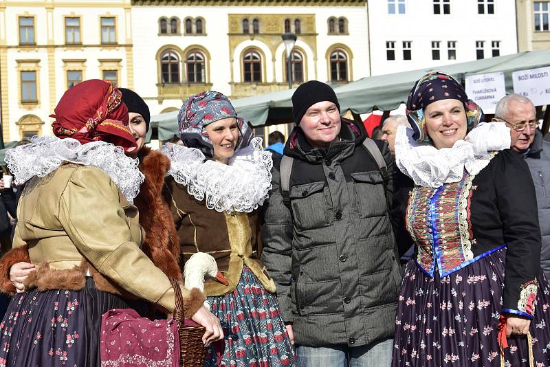 Masopustní veselí v Olomouci, 15. 2. 2020