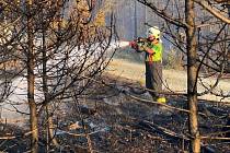 Hasiči likvidují rozsáhlý lesní požár u Staměřic poblíž vojenského prostoru Libavá, 25. 7. 2022