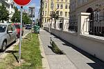Páv korunkatý vyráží z parku na potulky do centra Olomouce, kde budí rozruch, 14. května 2022