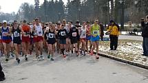 Olomoucká dvacítka - společný start 10km a 20km závodu. S č. 25 vítěz závodu na 20 km Tomala z Polska, s č. 95 slovenský chodec Tóth obsadil druhé místo