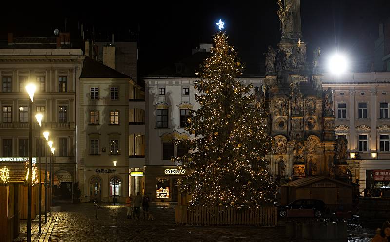 Vánoční strom v Olomouci. 29. listopadu 2020