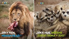 Zbrusu nový vizuál, kterým Zoo Olomouc děkuje adoptivním rodičům zvířat