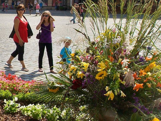 Květinové aranže na Horním náměstí v Olomouci. Ilustrační foto